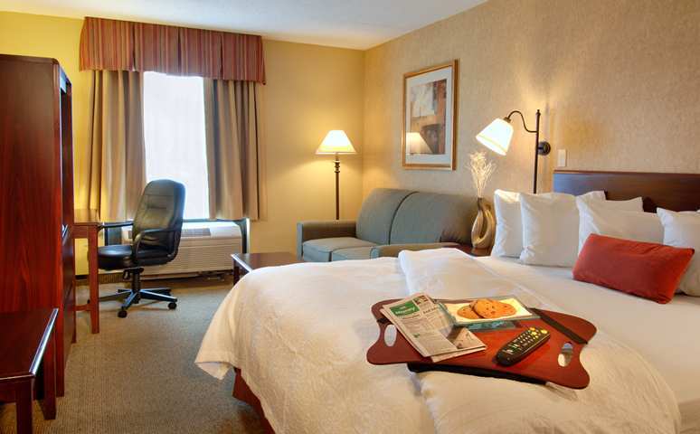 Hampton Inn Washington-Dulles International Airport South Chantilly Zimmer foto